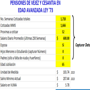 Calculadora en excel pension ley 73