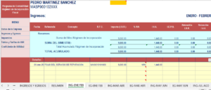 Calculadora en excel RIF 2025 Resumen